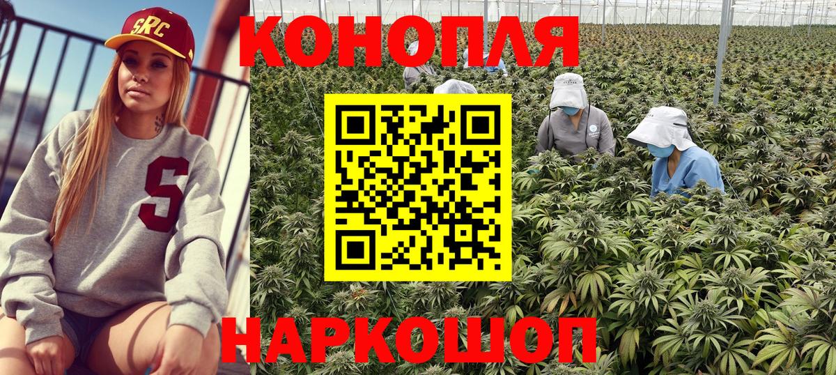 Бошки марихуана план  Бошки марихуана планчик  Кушва  Канабис конопля  Вход с VPN  Бошки Шишки Bruce Banner 